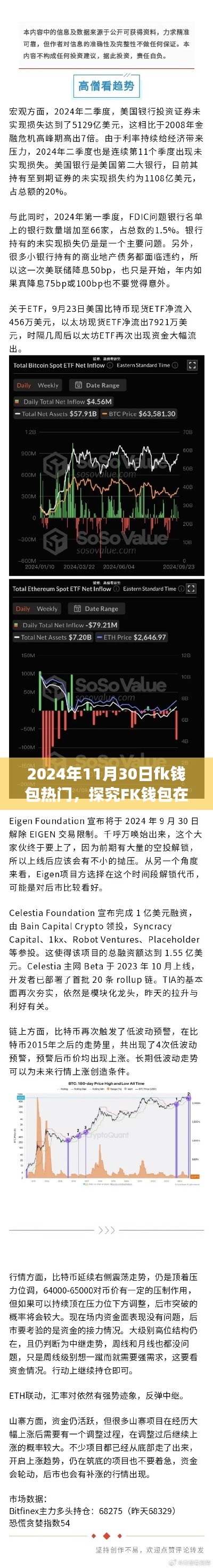 FK钱包在2024年11月30日的热门现象深度探究与观点阐述