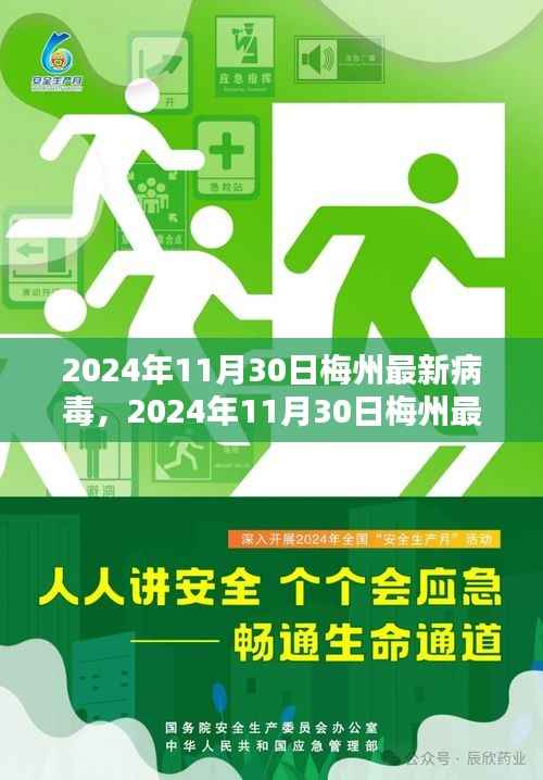 2024年11月30日梅州最新病毒深度解析报告