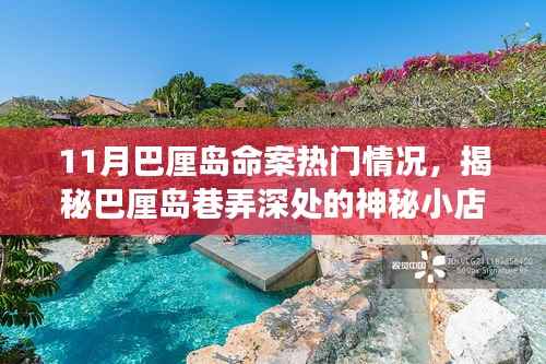 巴厘岛神秘小店背后的故事,揭秘十一月命案真相