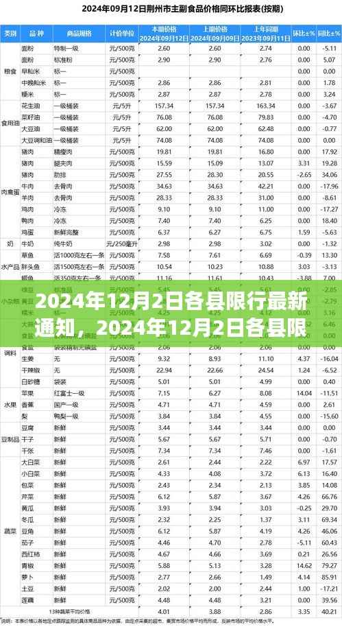 2024年12月2日各县限行最新通知详解与评测