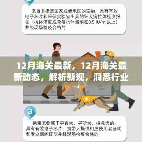 12月海关最新动态解析,新规洞悉与行业变化观察