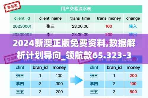 2024新澳正版免费资料,数据解析计划导向_领航款65.323-3