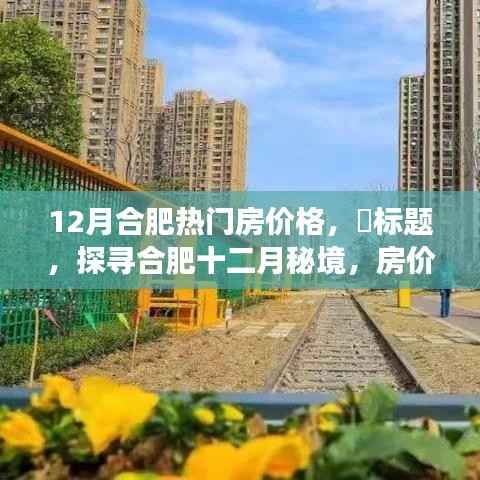 探寻合肥十二月热门房价，秘境之旅与心灵旅行的双重乐章
