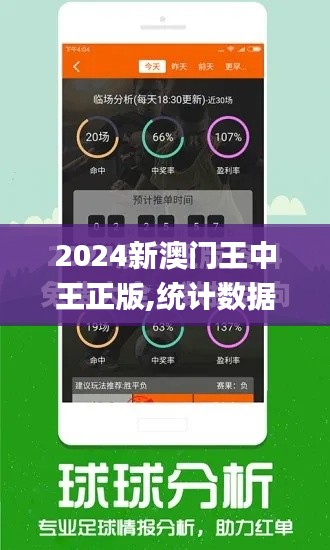 2024新澳门王中王正版,统计数据解释定义_XE版30.304-2