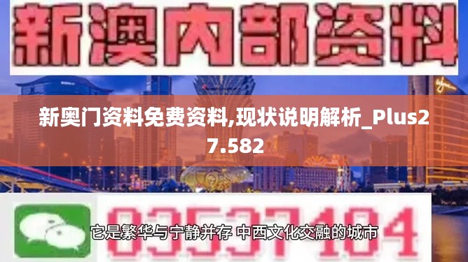 新奥门资料免费资料,现状说明解析_Plus27.582