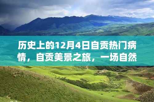 自贡美景之旅,历史疫情下的心灵洗礼与探寻内心宁静的喜悦之旅