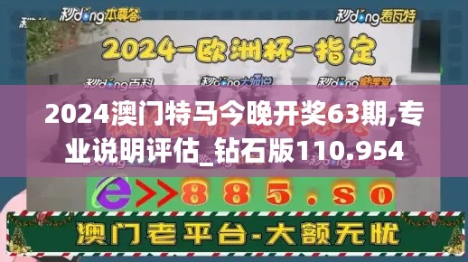 2024澳门特马今晚开奖63期,专业说明评估_钻石版110.954