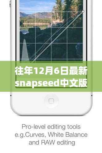 往年12月6日最新Snapseed中文版深度评测与全面解析摄影神器