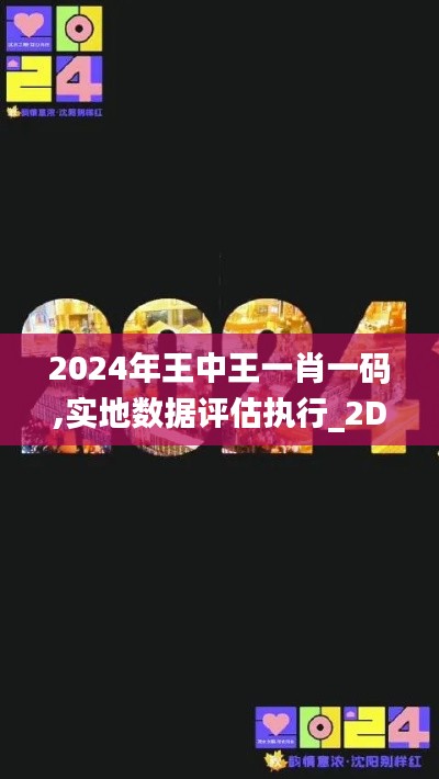 2024年王中王一肖一码,实地数据评估执行_2DM1.921