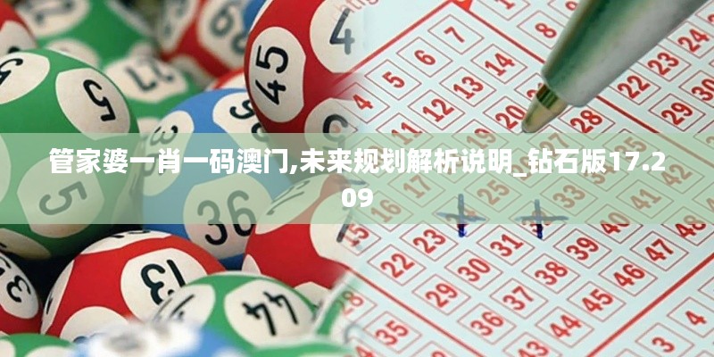 管家婆一肖一码澳门,未来规划解析说明_钻石版17.209