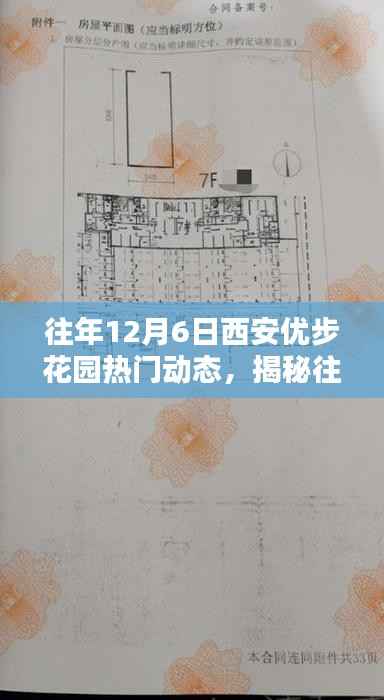 揭秘,西安优步花园历年12月6日热门动态回顾