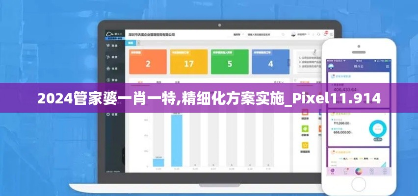 2024管家婆一肖一特,精细化方案实施_Pixel11.914
