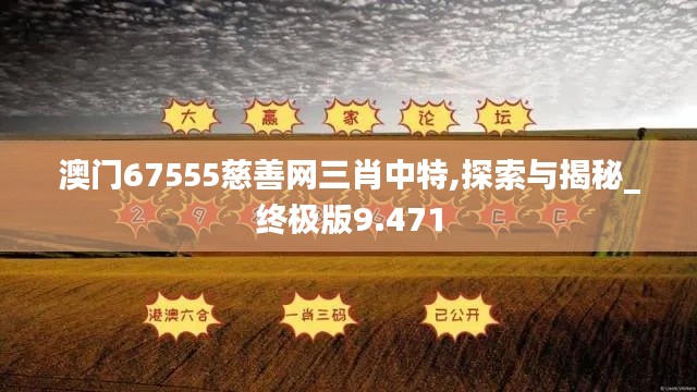 澳门67555慈善网三肖中特,探索与揭秘_终极版9.471