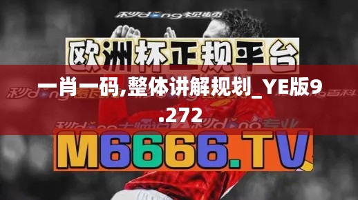 一肖一码,整体讲解规划_YE版9.272