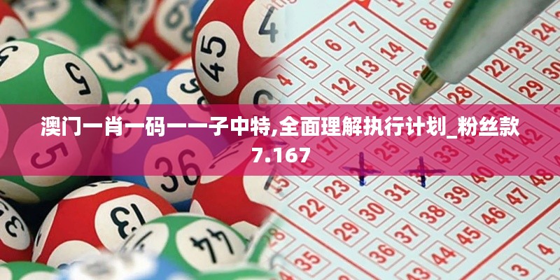 澳门一肖一码一一子中特,全面理解执行计划_粉丝款7.167