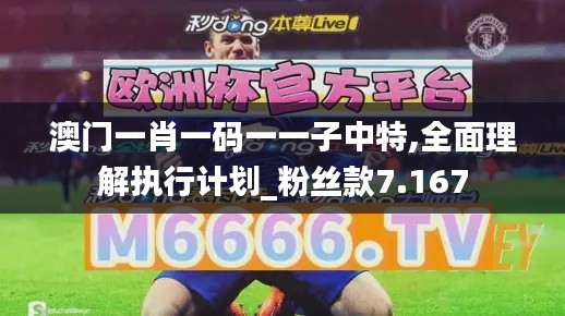 澳门一肖一码一一子中特,全面理解执行计划_粉丝款7.167