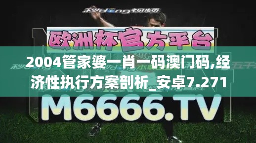 2004管家婆一肖一码澳门码,经济性执行方案剖析_安卓7.271