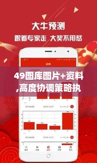 49图库图片+资料,高度协调策略执行_BT11.305