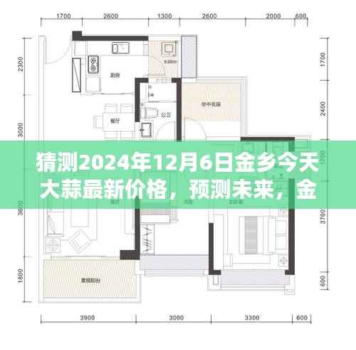 2024年12月6日金乡大蒜最新价格预测,未来动向分析