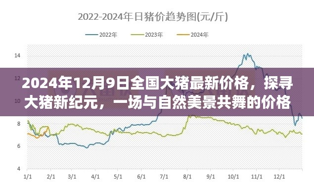 探寻大猪新纪元,全国最新价格与美景共舞的价格之旅(2024年12月9日)
