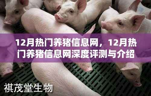 12月热门养猪信息网深度评测与介绍