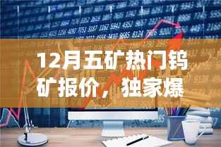 12月五矿热门钨矿报价,独家爆料12月五矿钨矿市场热门报价,洞悉行情走势!