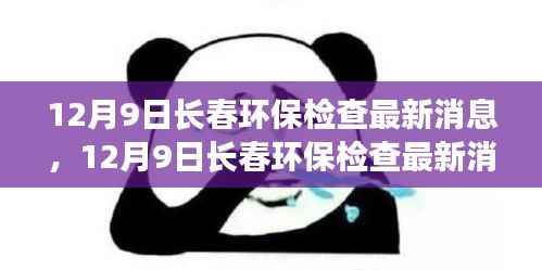 12月9日长春环保检查最新消息,绿色发展的深度洞察与行动