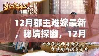 秘境探幽,秘境秘境深处郡主的独特邂逅与特色小店