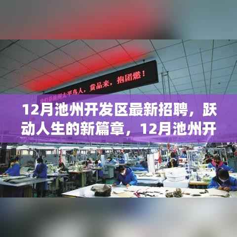 12月池州开发区火热招聘启幕,跃动人生的变化与成长之旅