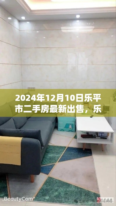 乐平市最新二手房购买全攻略,出售步骤详解(2024年12月10日)
