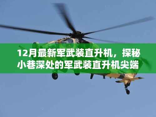 探秘尖端科技小店,揭秘十二月最新军武装直升机