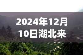 揭秘湖北来凤大河隐藏小巷的独特小店,热门图片背后的故事(2024年12月10日)
