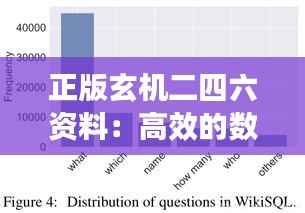 正版玄机二四六资料:高效的数据分析与决策支持