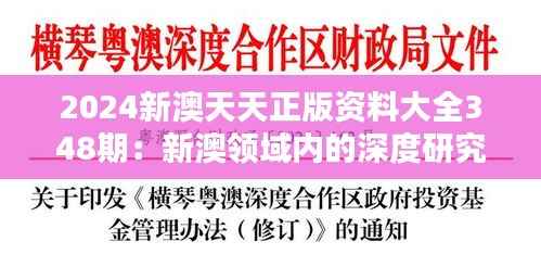 2024新澳天天正版资料大全348期:新澳领域内的深度研究资料