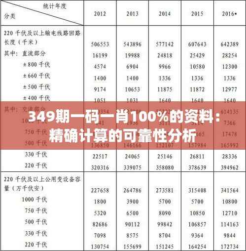 349期一码一肖100%的资料:精确计算的可靠性分析