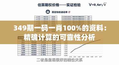 349期一码一肖100%的资料:精确计算的可靠性分析