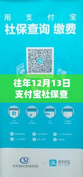 支付宝社保查询实时体验,便捷操作与实时更新服务