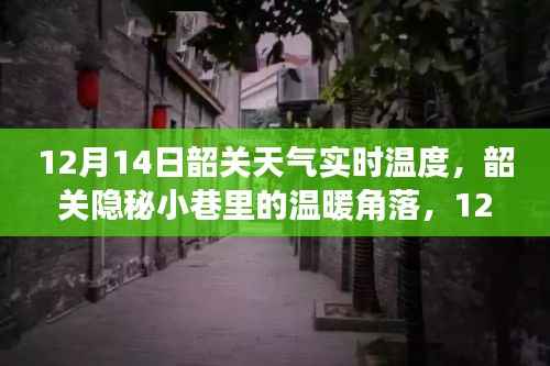 韶关隐秘小巷的温暖角落,实时天气与意外惊喜的相遇