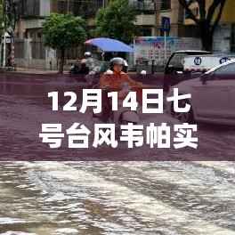 七号台风韦帕来袭,追寻内心平静的台风之旅
