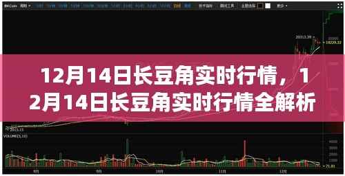 12月14日长豆角实时行情解析与商机洞察指南