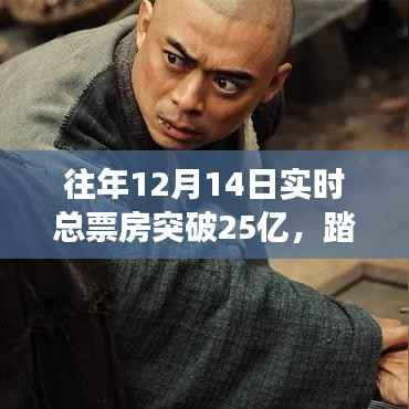 票房破纪录背后的故事启示,自然之旅的心灵探寻与喜悦之路