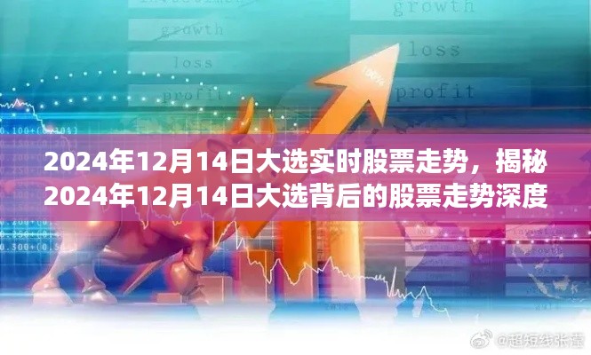揭秘,2024年大选背后的股票走势深度解析与实时动态预测(实时更新至2024年12月14日)