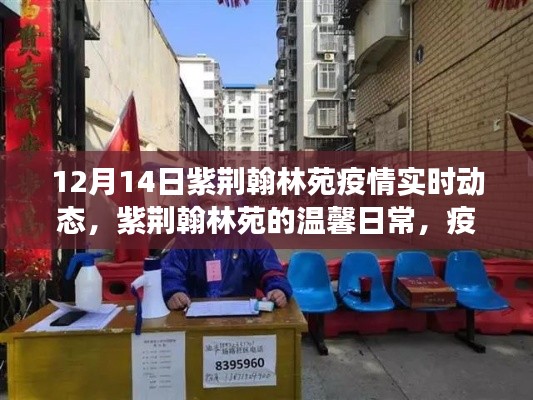 紫荆翰林苑疫情实时动态，疫情之下的温馨日常与暖心故事