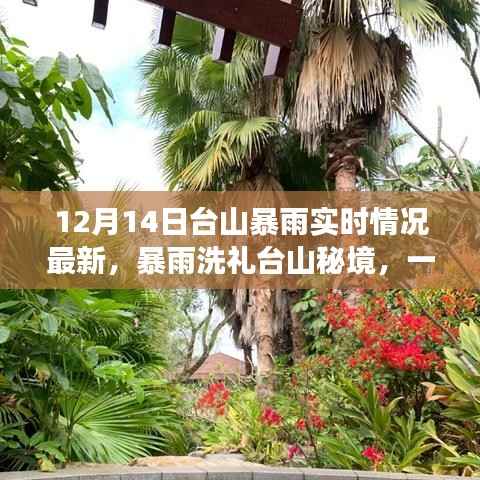 台山暴雨实时更新,秘境洗礼与心灵旅行奇遇