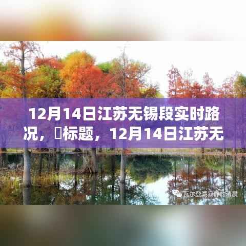 12月14日江苏无锡段,逃离喧嚣之旅,自然美景探寻记