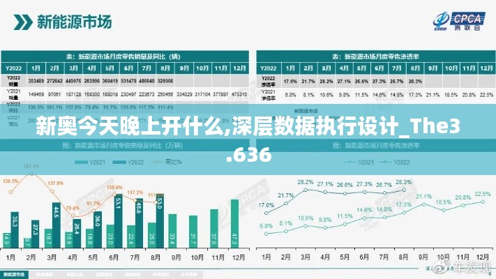 新奥今天晚上开什么,深层数据执行设计_The3.636