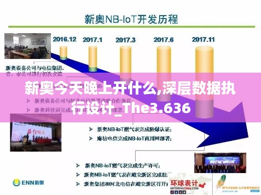 新奥今天晚上开什么,深层数据执行设计_The3.636