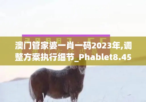 澳门管家婆一肖一码2023年,调整方案执行细节_Phablet8.453