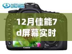 佳能7D屏幕实时显示设置详解,从设置步骤到多方观点与个人立场探讨