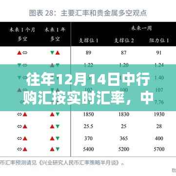 中行历年12月14日购汇指南及实时汇率概览